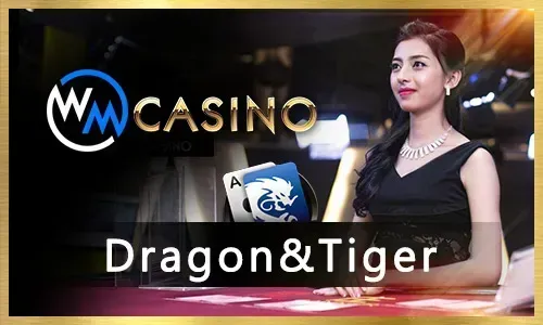 NN777 Live Dealer Games